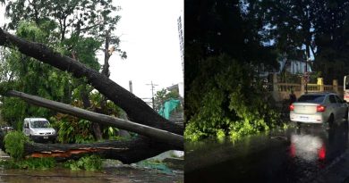 Usuarios sin luz, voladuras de techos y árboles caídos por el fuerte temporal