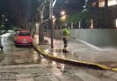 Casos de envenenamiento: La Ciudad refuerza limpieza y controles para proteger a los animales