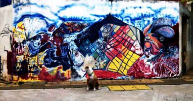 Parque Chas es un lugar que ya tiene como 100 años…