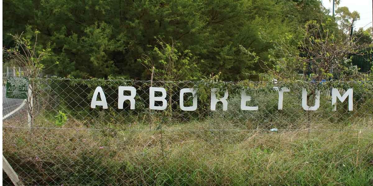 Cumple 21 años, el Arboretum Árboles de Buenos Aires