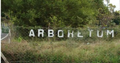 Cumple 21 años, el Arboretum Árboles de Buenos Aires